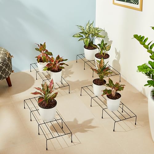 Image of Amazon Brand - Solimo Metal Plant Stand (Set of 4, Black) - Powder-Coated Iron, Heavy-Duty, Corrosion-Resistant, Indoor & Outdoor Use, 20x58x12 cm, Holds up to 32.5 kg