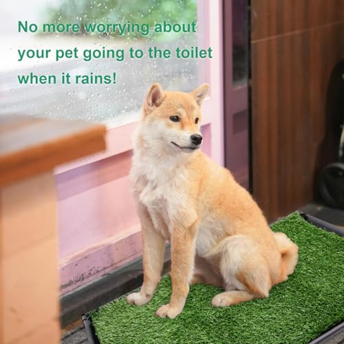 Image of Dog Grass Pad with Tray, 35 inch X 23 inch Large Indoor /Outdoor Potty Training Pad, Durable Leak-Proof Tray and Reusable Puppy Grass Pads, Easy Clean Portable Pet Relief System for Small to Medium Dogs