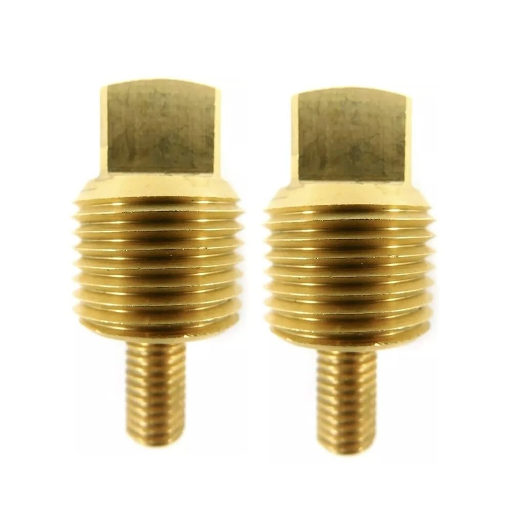 2 Pezzi di Spina OEM Originale for anodo di Zinco 838928 3838500 861546 00714TPM 18-6021