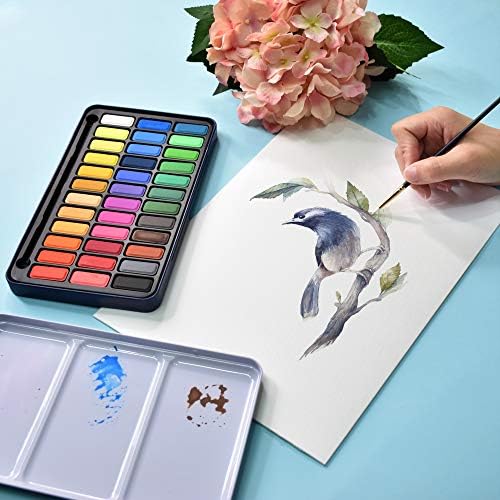 STATIONERY ISLAND Watercolour Paint Set Professional Painting Supplies Kit in Portable Travel Tin with Paintbrush and Mixing Palette, 36 Full Pan Sketchers' Pocket Box for Artists Adult Beginners