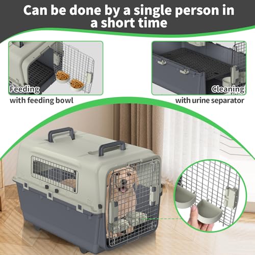 Eldzenith Katzentransportbox, Transportbox Hund mit Sicherheitsverriegelung und LüFtungsgitter, katzenbox für Flugreisen mit Urinbarriere Schalen FressnäPfe und Tragegriff(S, 50×33×33cm)