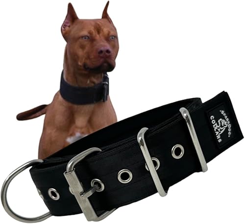 Miniatura 1 de SparkDog Collar de trabajo para perro, collar de perro de 2 pulgadas de ancho, correas de cinturón de seguridad de poliéster de 4 capas, accesorios
