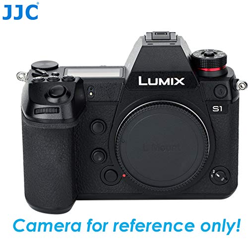 Sigma fp L camera