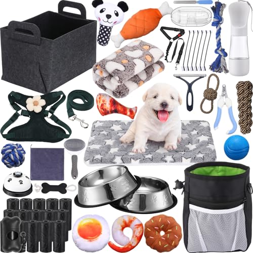 Abbylike Welpenzubehör, Starter-Set für kleine Hunde, enthält Leine, Näpfe, Zahnbürsten, Wasserflasche und mehr Zubehör für Hunde, 50-teiliges Set (schwarz)