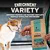 Vital Essentials Minnows Cat Treats, 1 oz | Freeze-Dried Raw | Single Ingredient | Grain Free, Gluten Free, Filler Free #5