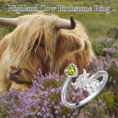 Bague en argent sterling 925 et pierre fine d'août PROESS - 3