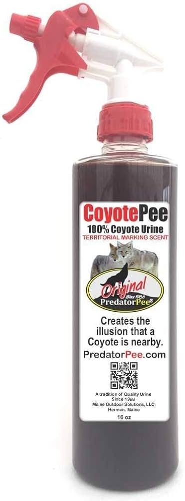 What Does Coyote Urine Smell Like: Nature's Pungent Mystery
