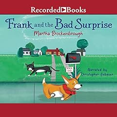 Frank and the Bad Surprise cover art