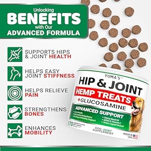 YUMAS-Hemp-Hip-and-Joint-Supplement-for-Dogs-Glucosamine-for-Dogs-170-Dog-Joint-Pain-Relief-Chews-Chondroitin-MSM-Hemp-Oil-Advanced-Dog-Joint-Supplement-Health-Mobility-Support-Treats - Cucciolini Doodles   YUMAS-Hemp-Hip-and-Joint-Supplement-for-Dogs-Glucosamine-for-Dogs-170-Dog-Joint-Pain-Relief-Chews-Chondroitin-MSM-Hemp-Oil-Advanced-Dog-Joint-Supplement-Health-Mobility-Support-Treats
