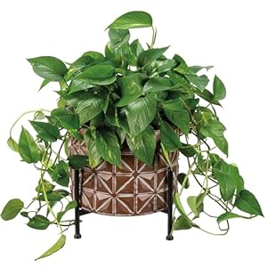 Primitives by Kathy Geometric Planter Stand Set Primitives by Kathy Geometric Planter Stand Set