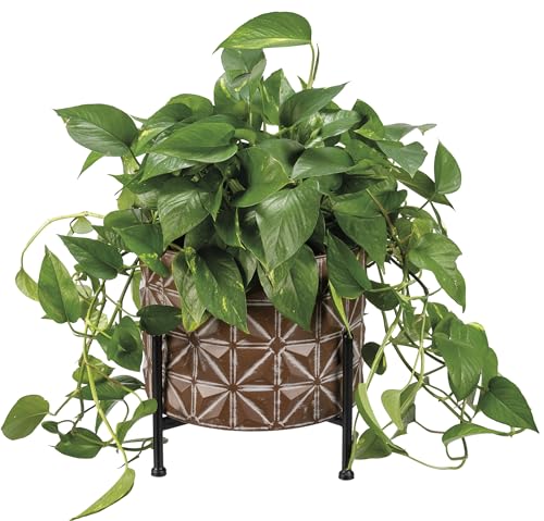 Primitives-by-Kathy-Geometric-Planter-Stand-Set Primitives by Kathy Geometric Planter Stand Set