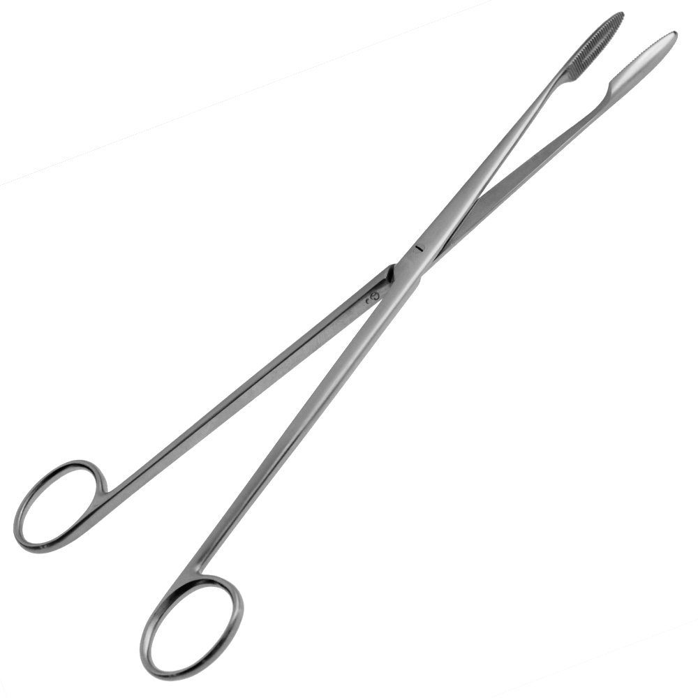 May - Grain Pince après Maier - Droite - Longueur: 25 cm - Acier inoxydable