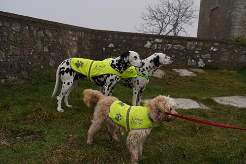 Reflektierender, Leichter Fleece-Mantel mit Loch für die Leine, 5 Größen – hohe Sichtbarkeit für Aktivitäten im Freien bei Tag und Nacht, hält Ihren Hund sichtbar, sicher vor Autos und Jagdunfällen