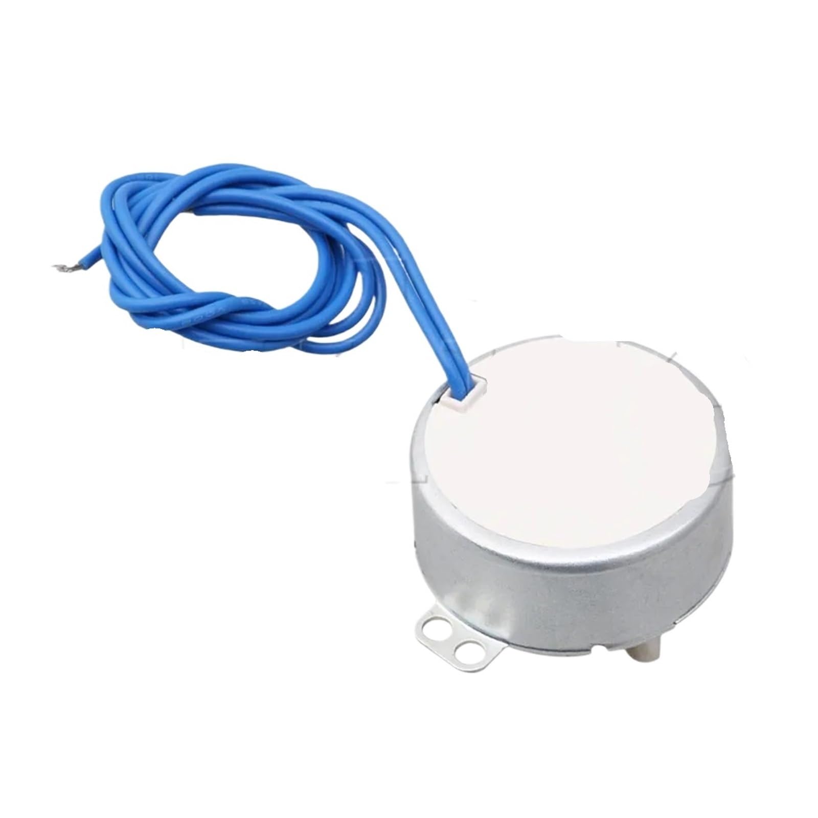 Motore 50/60Hz AC 100-127 V 4W 20-24 RPM CCW/CW TYC-50 Argento | Motor