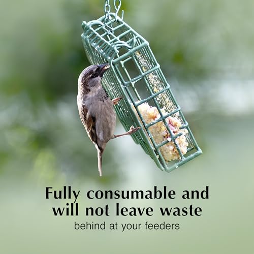 Image of C&S Insect Delight No Melt Suet Dough, Suet Cakes for Wild Birds Including Robins, Blue Jays, Woodpeckers, Wrens, Bluebirds and More, 11.75 Ounces, Pack of 8