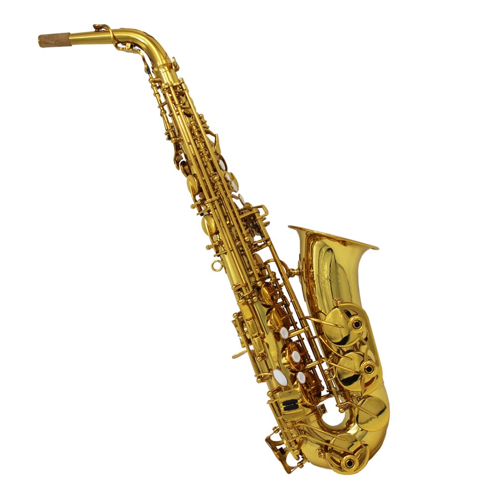 Amazon.com: Eastern music Alto Saxophone ala Yanagisawa A-991