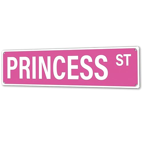 MOLESS "PRINCESS ST" Pink Room Decor Aesthetic โ 16x4โณ Cute Street Signs for Bedroom | Trendy Y2K Posters Wall Decorations for Downtown Girly Room Girl Bedroom Teen College Dorm, 2482 - Princess St