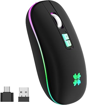 besky Wireless Rechargeable, Backlit LED Portable Silent Computer Mouse for Laptop, PC, MacBook, Chromebook, Notebook, 2.4G USB Cordless Mouse with USB-C Conversion Interface for iPad, Tablet