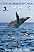 Offshore Sea Life ID Guide: East Coast (Princeton Field Guides)