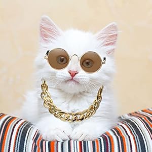 7 pieces dog costume set include adjustable gold pet chain and funny cute cat small dog sunglasses retro pet sunglasses for cat puppy small medium dog fresh colorsdelicate style   cucciolini doodles