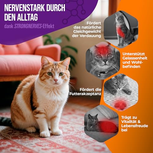 NatiVivo K1 Vitamin B Komplex Katze – hochdosierte Hunde Vitamine mit Vitamin B1, B12 & Folsäure Vitamine für Katzen 120 Premium Tabletten Made in Germany