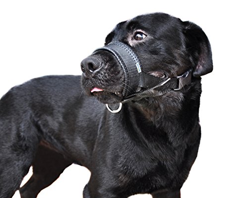 Niteangel Quick Fit Nylon Dog Muzzle, Adjustable Loop (L & XL, Black)