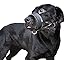 Niteangel Quick Fit Nylon Dog Muzzle, Adjustable Loop (L & XL, Black)