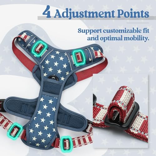 Image of rabbitgoo Dog Harness No Pull with 2 Leash Clips, Adjustable Soft Padded, Reflective Oxford No Choke Pet Vest with Easy Control Handle for Large Dogs, Blue Star, S