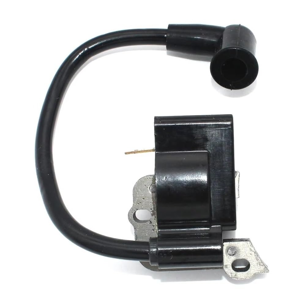Module d'allumage 753-06763 pour un démarrage stable de votre TB22
