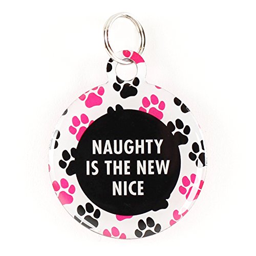 Dynotag Web Enabled Super Pet ID Smart Tag with DynoIQ & Lifetime Recovery