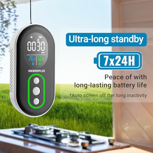 Image of INKBIRDPLUS Portable Carbon Monoxide Detector for CO Temperature Humidity | Rechargeable CO Monitor with Temperature & Humidity Sensor, 3-in-1 Air Quality Monitor with Audible & Visual Alarms