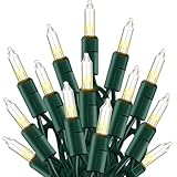 TW SHINE Warm White Christmas Lights Outdoor, 20FT 100 Count Incandescent Christmas Light Indoor, Waterproof Christmas Tree String Lights for Xmas Decorations