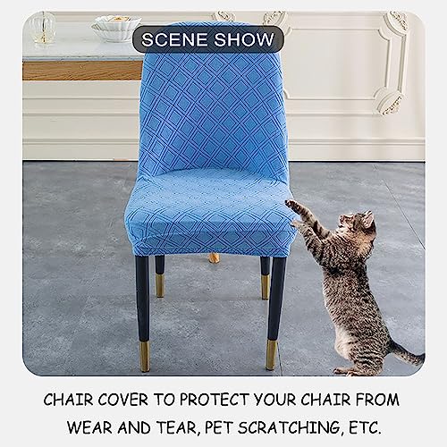 Housse de chaise extensible orange pour masquer l'usure de vos sièges - 6