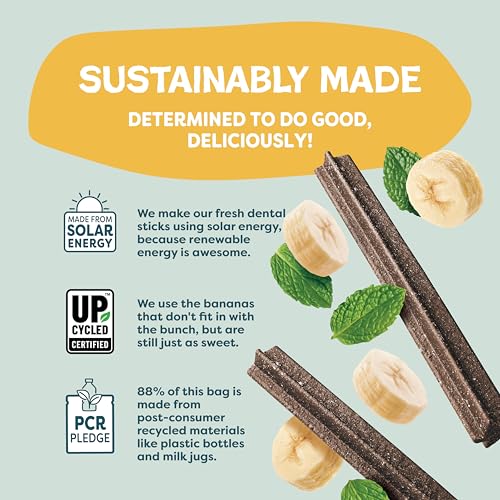 Image of Shameless Pets Bone Broth, Banana, & Mint Dental Chews for Dogs, 32 Chews - Natural Dog Teeth Cleaning Treats with Fresh Breath Benefits | Grain-Free Dental Sticks for Small, Medium & Large Dogs