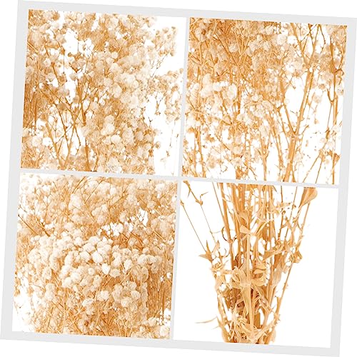 Ramo de Flores Secas Garvalon para Decoración miniatura 4