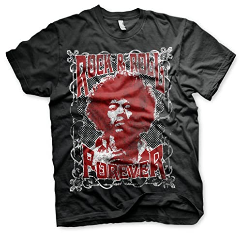 Levi's Stay True Jimi Hendrix Tシャツ M JIMI HENDRIX ジミ・ヘンドリックス ジミヘン プリント Tシャツ