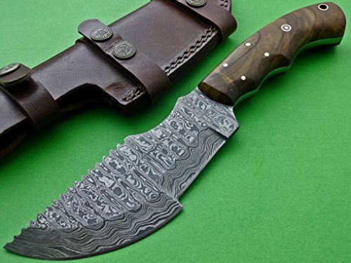 Poshland Knives TRH-001, Custom Handmade Damascus Steel Tracker Knife - Exotic Wood Handle