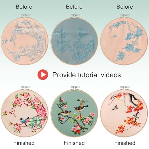 Embroidery Kit for Beginners Set of Embroidery Starter Kits, Cross Stitch Kits with Flower & Bird Pattern and Instructions - Image 3