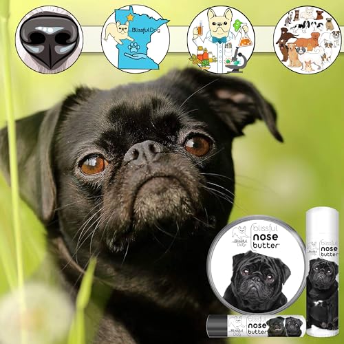 Image of The Blissful Dog Black Pug Nose Butter, Versatile Dog Nose Balm for Dry Nose, Handcrafted Nose Moisturizer, Easy-to-Apply Dog Essentials, Unscented, 1 oz.