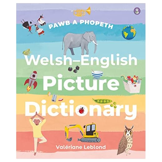 Pawb a Phopeth Picture Dictionary