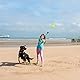 Relaxdays Ballschleuder für Hunde, 4er Set Ballwerfer, inkl. 8 Tennisbälle, Hundespielzeug zum Werfen, Wurfgerät, bunt