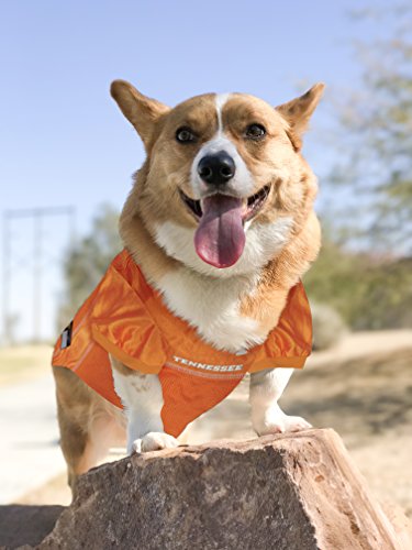 Image of Pets First Collegiate Tennessee Volunteers Dog Mesh Jersey, Large