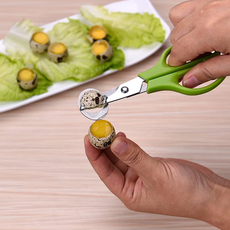 Ciseaux à Œufs De Caille En Inox - Ouvre-Coquille Pratique - Pour Cuisine, Restaurant