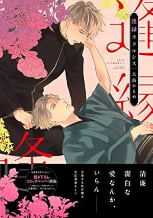 Amazon.co.jp: 窮鼠はチーズの夢を見る (ジュディーコミックス) : 水城