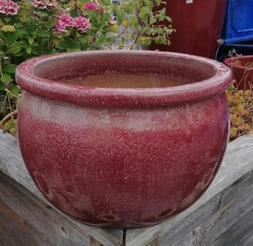Generisch B-Ware !! Große Pflanzschale ø 37 cm aus winterfesten Steingut in einem außergewöhnlich seltenen Farbton - Beere mit beige Garten Deko Blumenkübel Pflanztopf Blumentopf