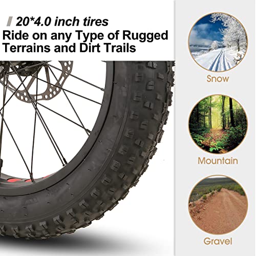 Hiland 20 Inch Kids’ Bicycles Fat Tire Mountain Bike for