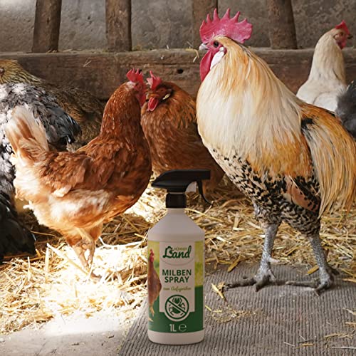 HÜHNER Land Milben Spray für Hühner XL Set 6 Liter inkl. Sprühflasche - Gegen Milben & Parasiten, Milbenspray Milbenmittel als Umgebungsspray zur Vorbeugung & bei akutem Befall