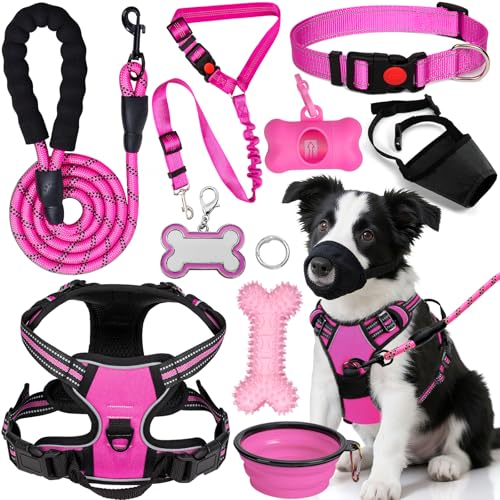 YXFDOYT No-Pull Dog Harness & Leash Set with Accessories (Pink, M)