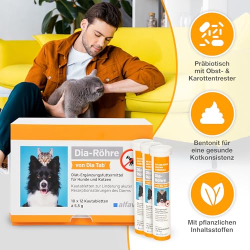 alfavet Dia Tab Röhre 12 x 5,5 g – Diät-Ergänzungsfuttermittel für Hunde & Katzen – Kautabletten bei Durchfall – Mit Bentonit & pflanzlichen Inhaltsstoffen zur Regulierung der Verdauung