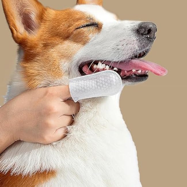 Pet Finger Wipes, Dog Ear Wipes for Dog Ear Infection Treatment, Gentle and Safe Pet Ear Cleaning Ear Cleaner for Allergies and Itching, Pet Dental Finger Wipes for Dogs and Cats, Furry Animals 50pcs-OvtrQdU0